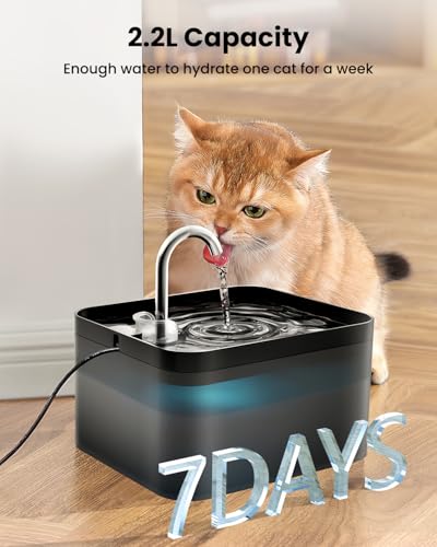 Thumbnail 1 de PawPoll Fontaine à Eau pour Chat 2,2L – Silencieuse, Filtration Quadruple et LED