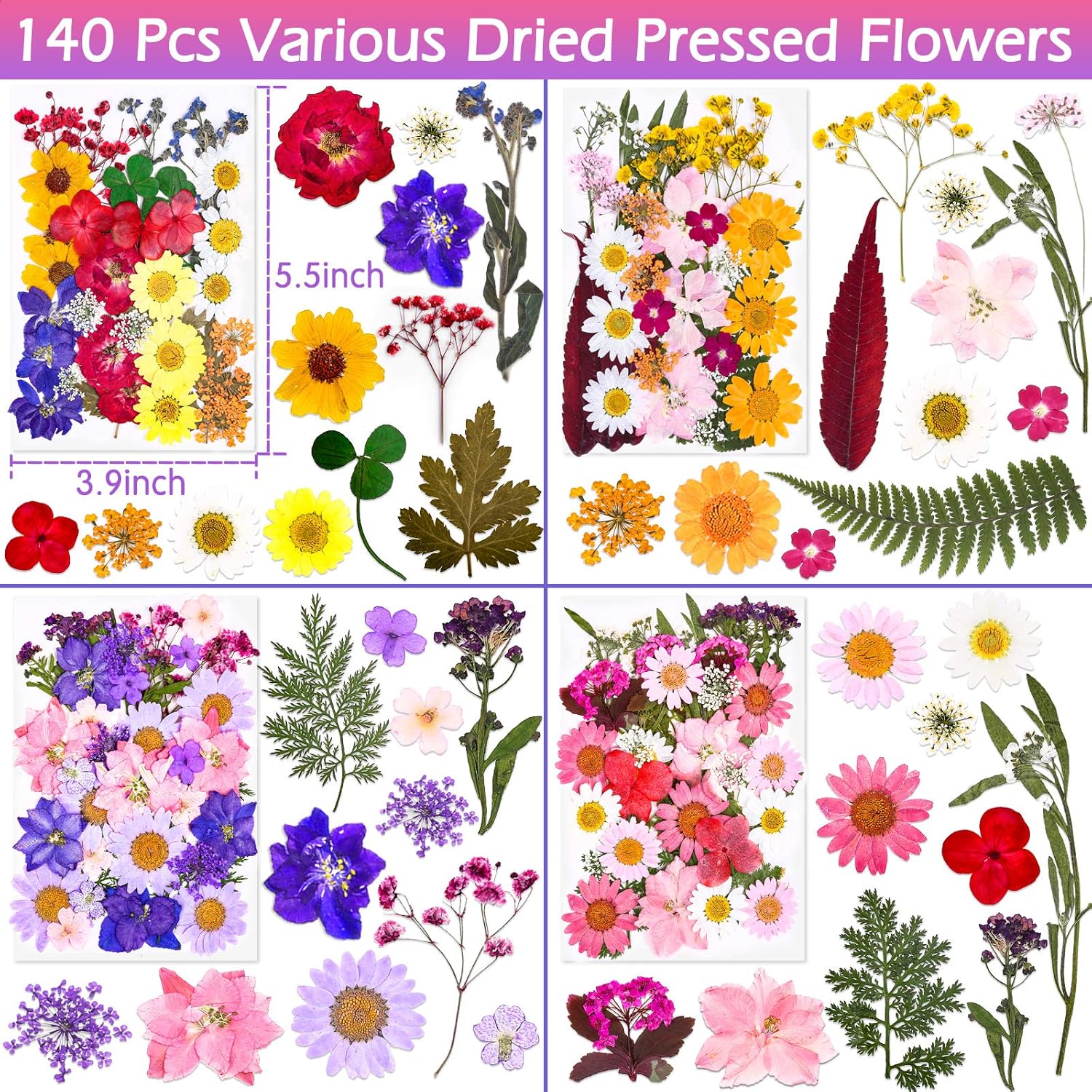 Detalle de Cruzix 011110 Pressed Flowers for Resin, 140-Piece Colorful Craft Kit