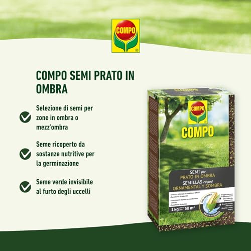 Thumbnail 1 de COMPO SEMI Prato in Ombra, Miscela Speciale: semi ricoperti per prato verde in zone d’ombra (1 kg)