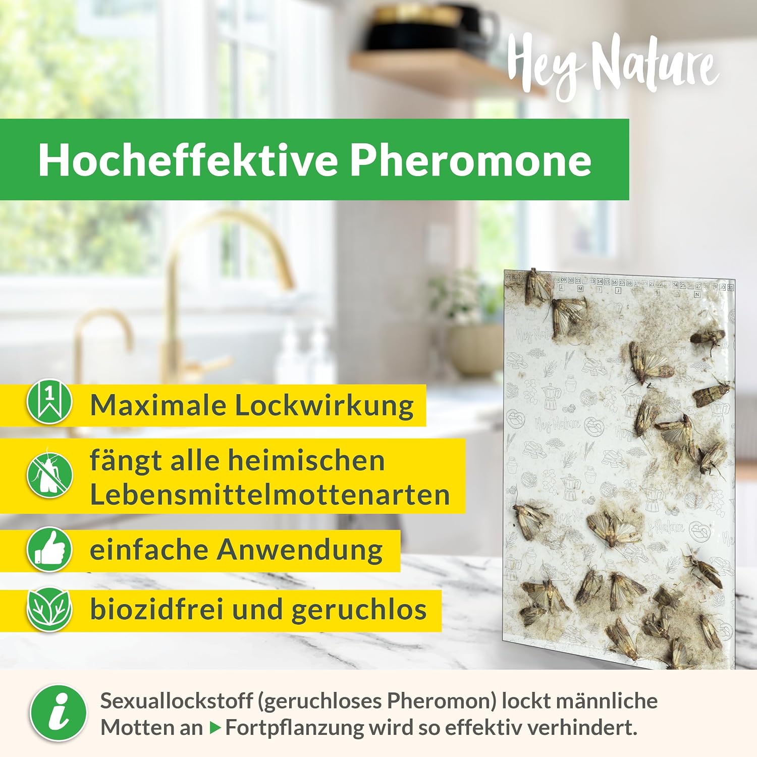Detalle 2 de Hey Nature Lebensmittelmotten Falle, 12 Stück – insektizidfrei, geruchlos und einfach anzuwenden