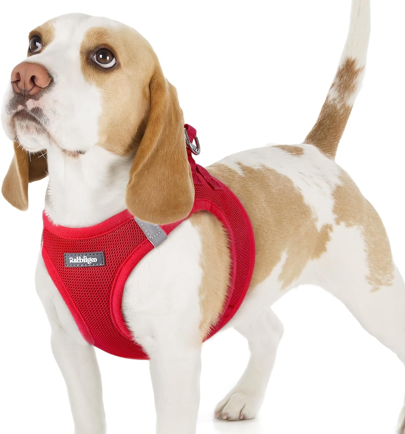 Detalle de rabbitgoo Hundegeschirr Step-in für kleine Hunde (Größe M) – weiches Air-/Mesh, reflektierend, rot