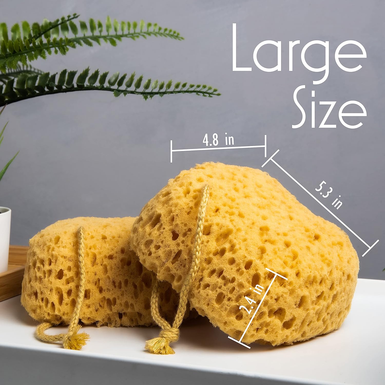 Detalle 2 de myHomeBody Bath Sponge, Foam Loofah – Large, 3 Pack (Curvy) for Rich Lather and Gentle Exfoliation