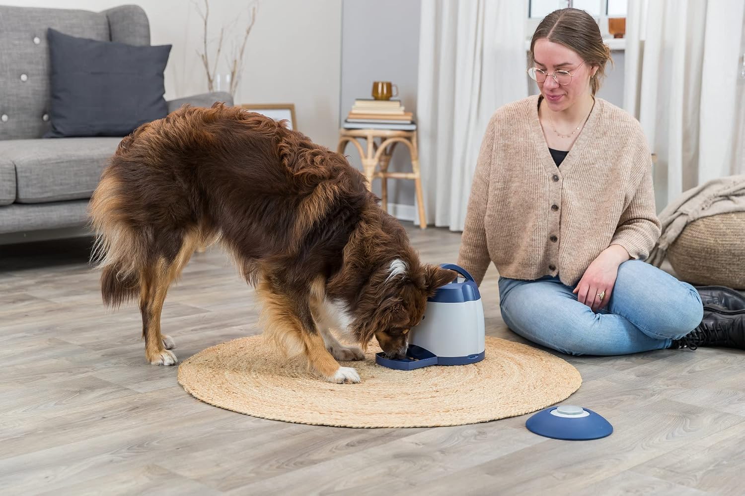 Detalle 2 de TRIXIE Intelligenz-Dog-Activity Strategie-Spiel Memory Trainer 3.0 (32040) – für anspruchsvolle Beschäftigung