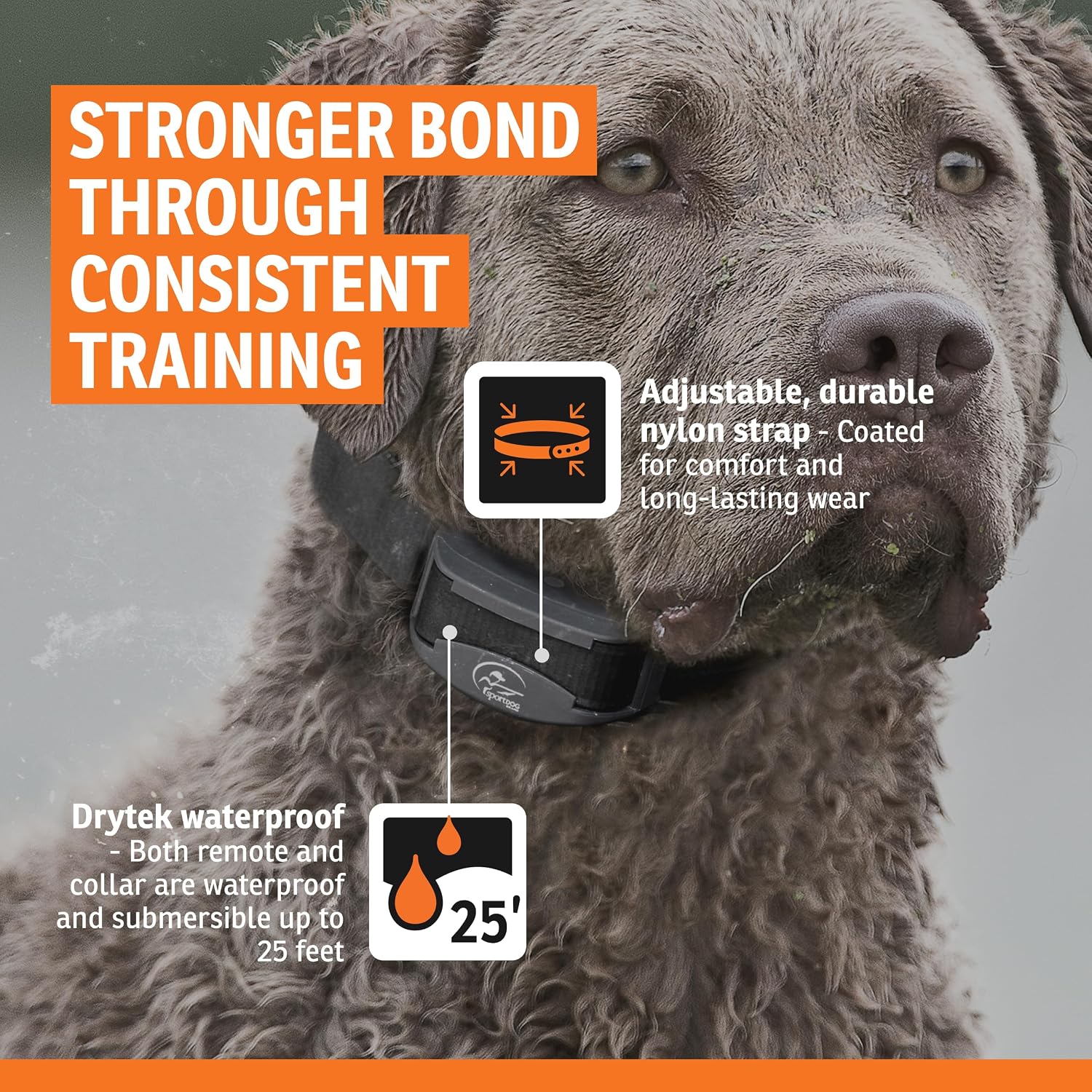 Detalle 1 de SportDOG Remote Dog Trainer 425XS