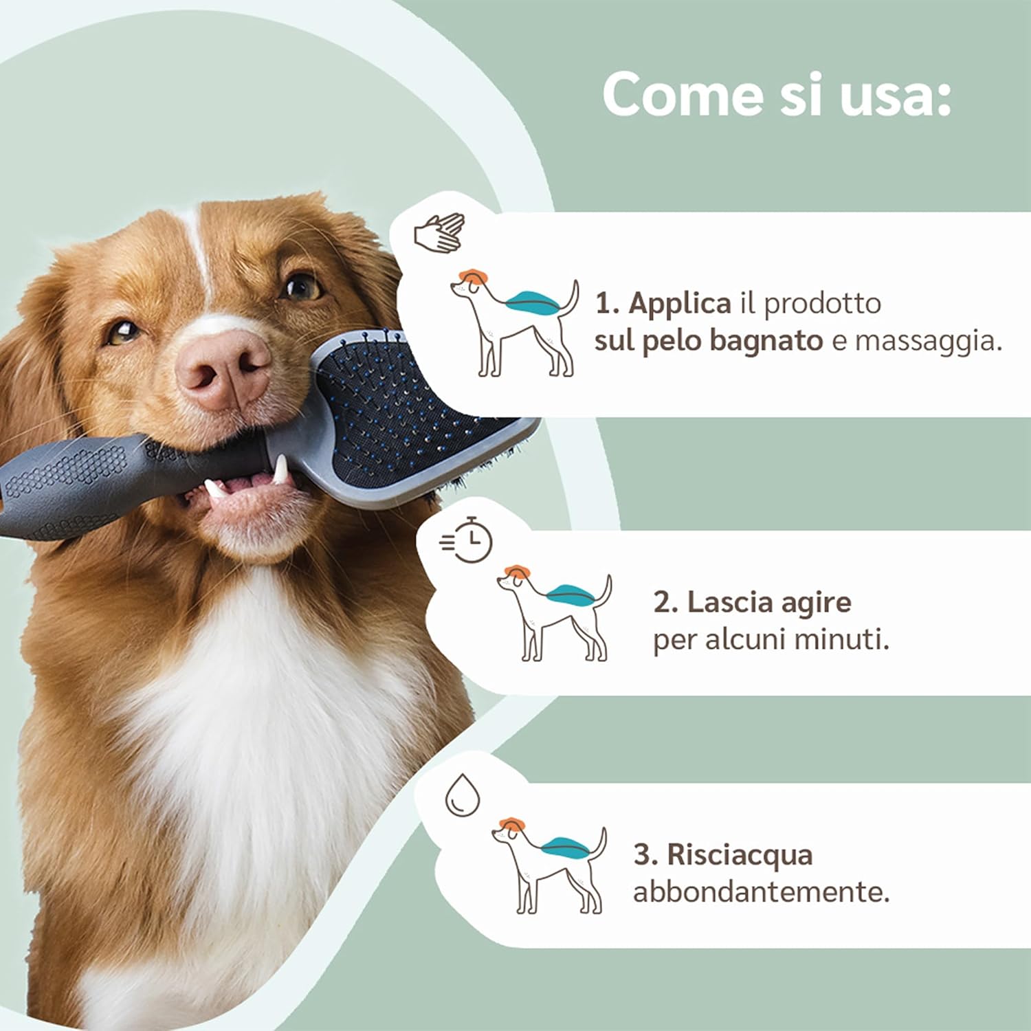 Thumbnail 4 de amusi Shampoo Cani Delicato pH neutro