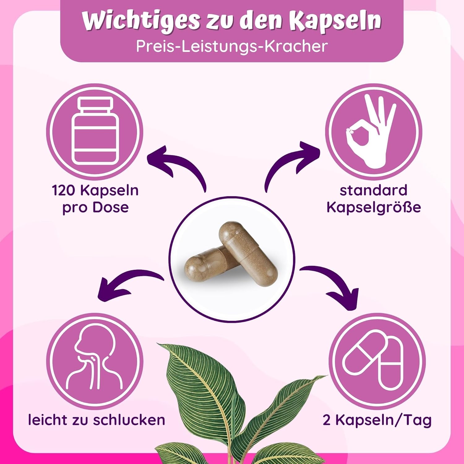 Thumbnail 4 de loodus 12fach Meno Komplex Wechseljahre Tabletten pflanzlich – 120 Kapseln für Hormona balance Frauen