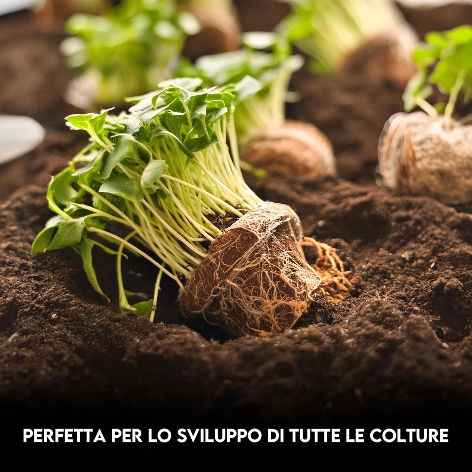 Thumbnail 5 de ZOMA Fibra di cocco per piante di qualità superiore – Terriccio universale 13 Kg per coltivazione idroponica
