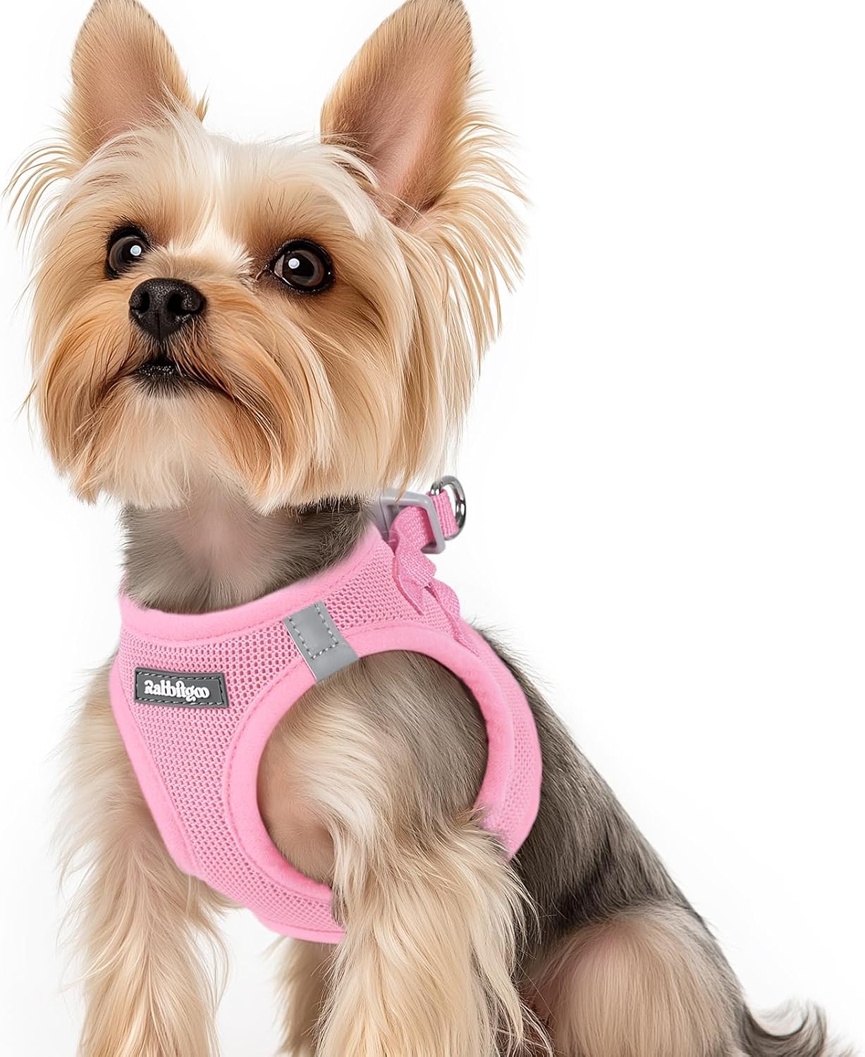 Detalle de rabbitgoo Hundegeschirr für kleine Hunde (Step-in), weiches Mesh, reflektierend – Rosa, Größe XS