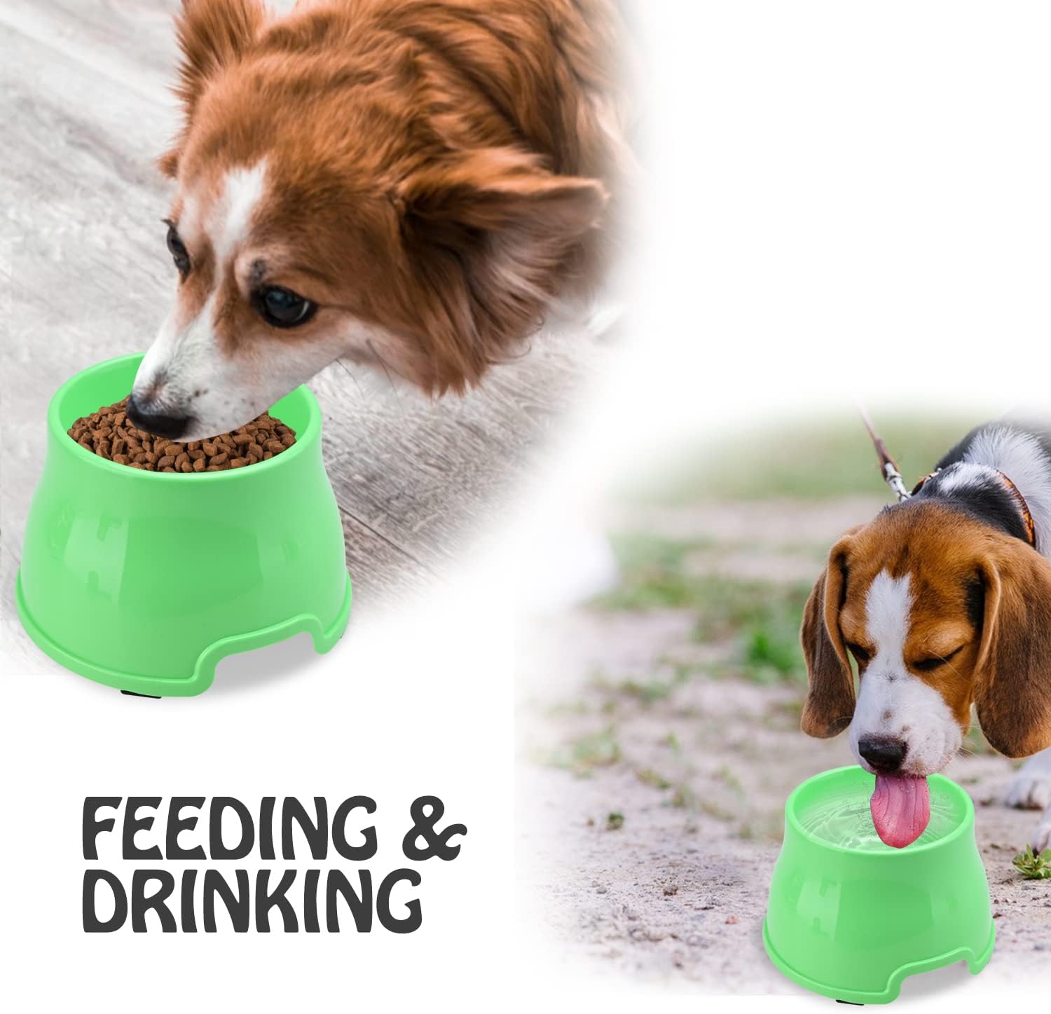 Detalle 2 de TOWEAR Long Ears Dog Bowl L, Green