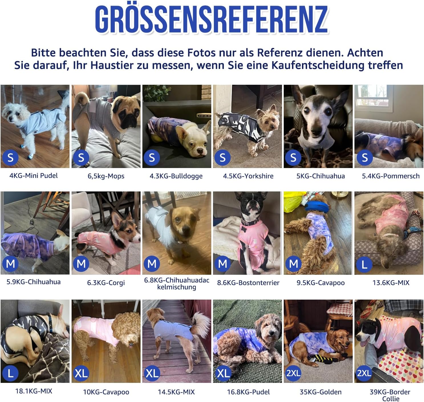 Thumbnail 6 de Eyein Hundebody nach OP – atmungsaktiver, weicher Einteiler mit Reißverschluss und Gürtel (Grau, XL)
