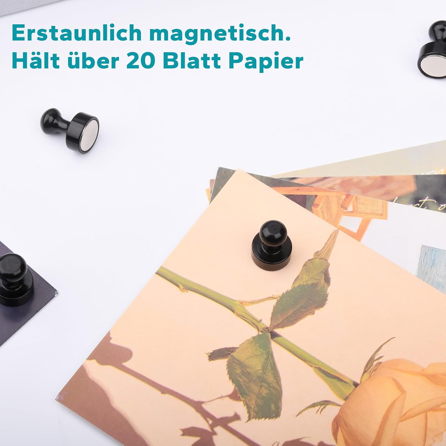 Detalle 2 de MIN CI Starke Neodym-Magnete 12 x 16 mm
