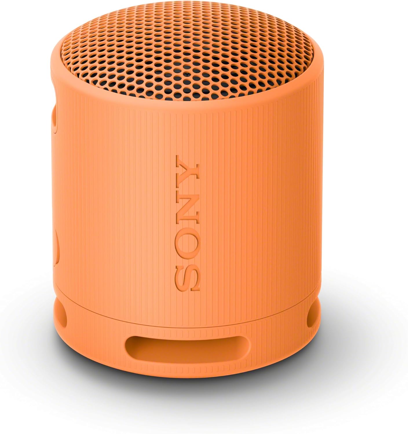 Detalle de Sony SRS-XB100 Portable Bluetooth Speaker