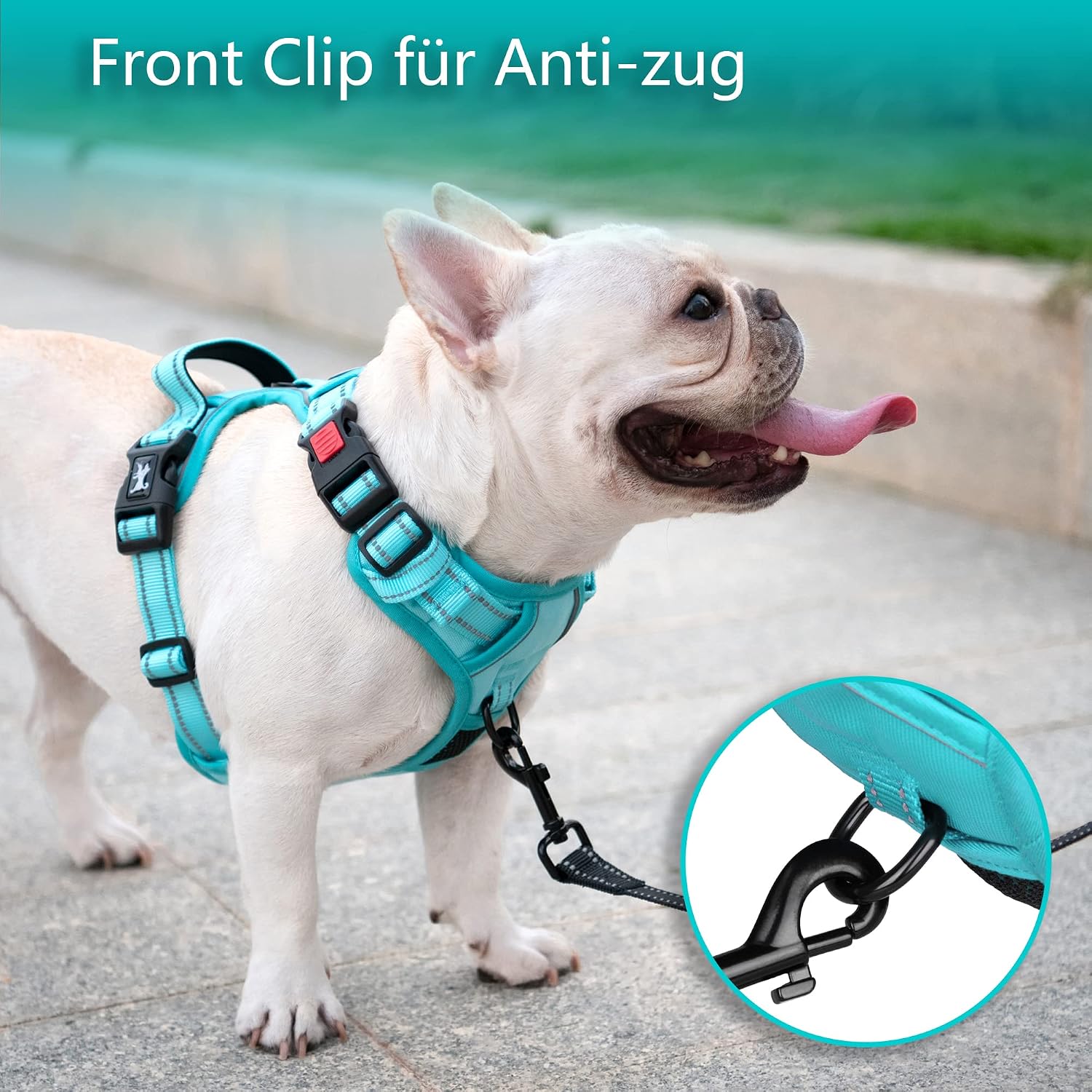 Detalle de PoyPet Hundegeschirr ohne Zug – Reflektierendes, verstellbares Geschirr für mittelgroße Hunde (Mint Blau, Größe M)