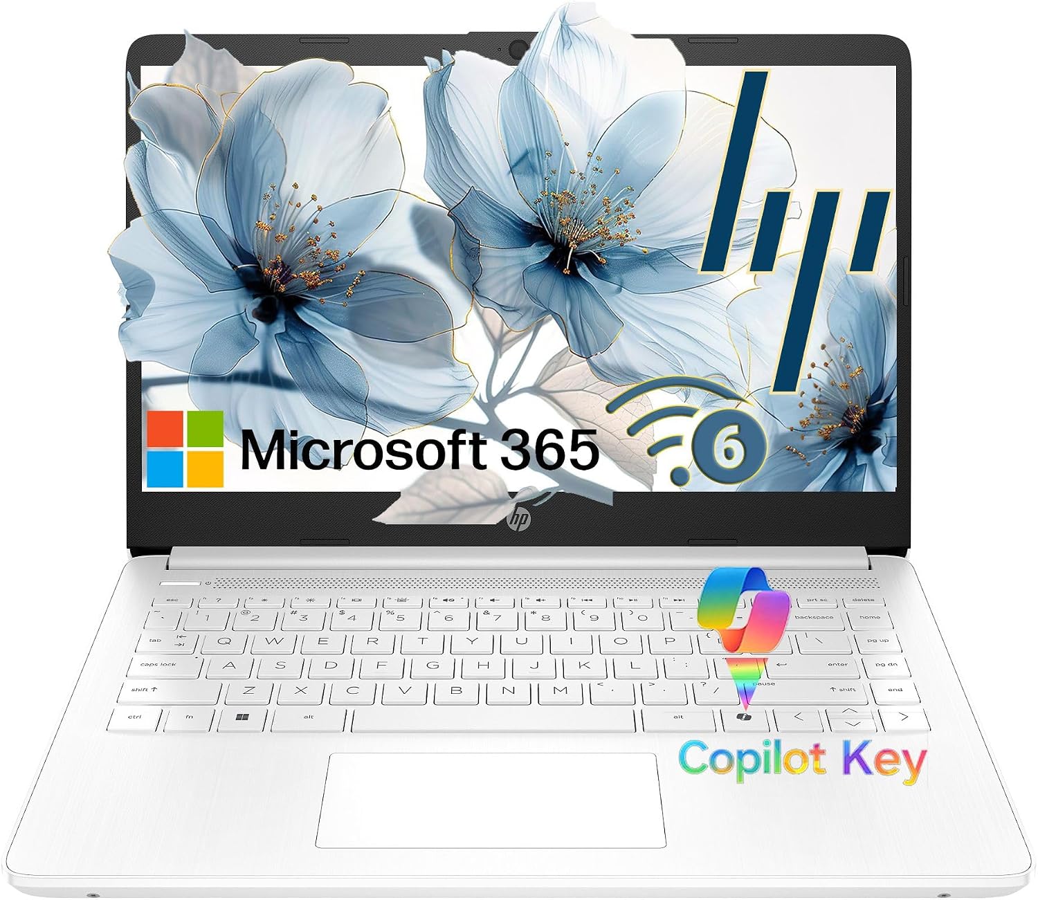Detalle de HP Laptop 14-inch