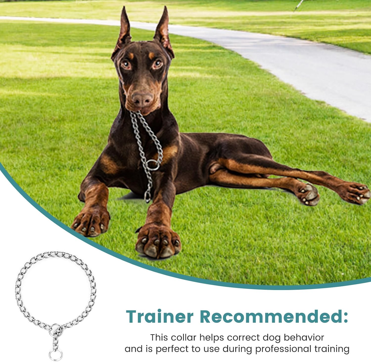 Detalle 2 de PETTOM Dog Chain Collar Stainless Steel – Rust-Proof, Seamlessly Welded and Hair-Friendly for Training and Walking (M, 55cm)