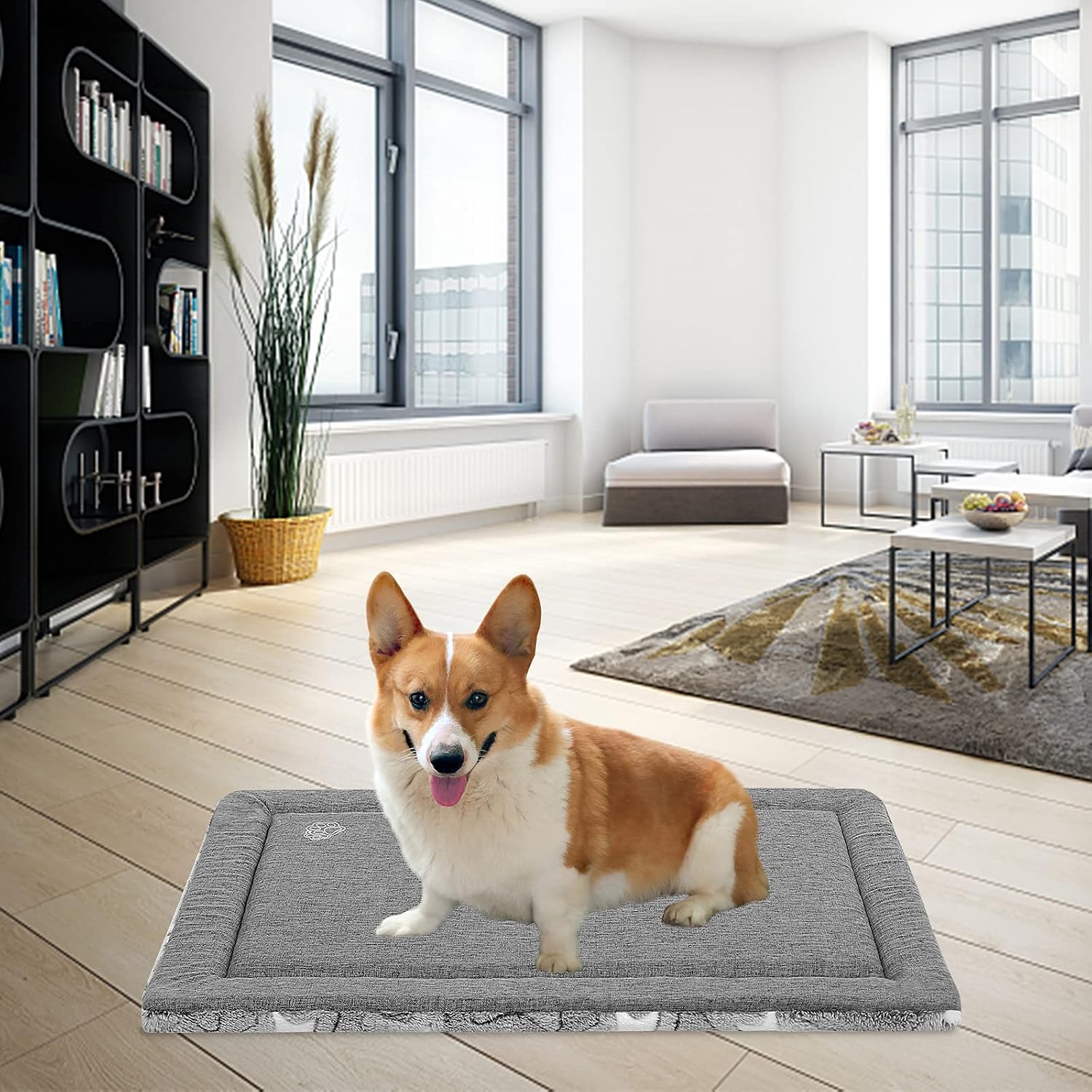 Detalle de EMPSIGN Cuscino per cani taglia media reversibile in schiuma ad alta densità (76×51×2,8 cm) grigio