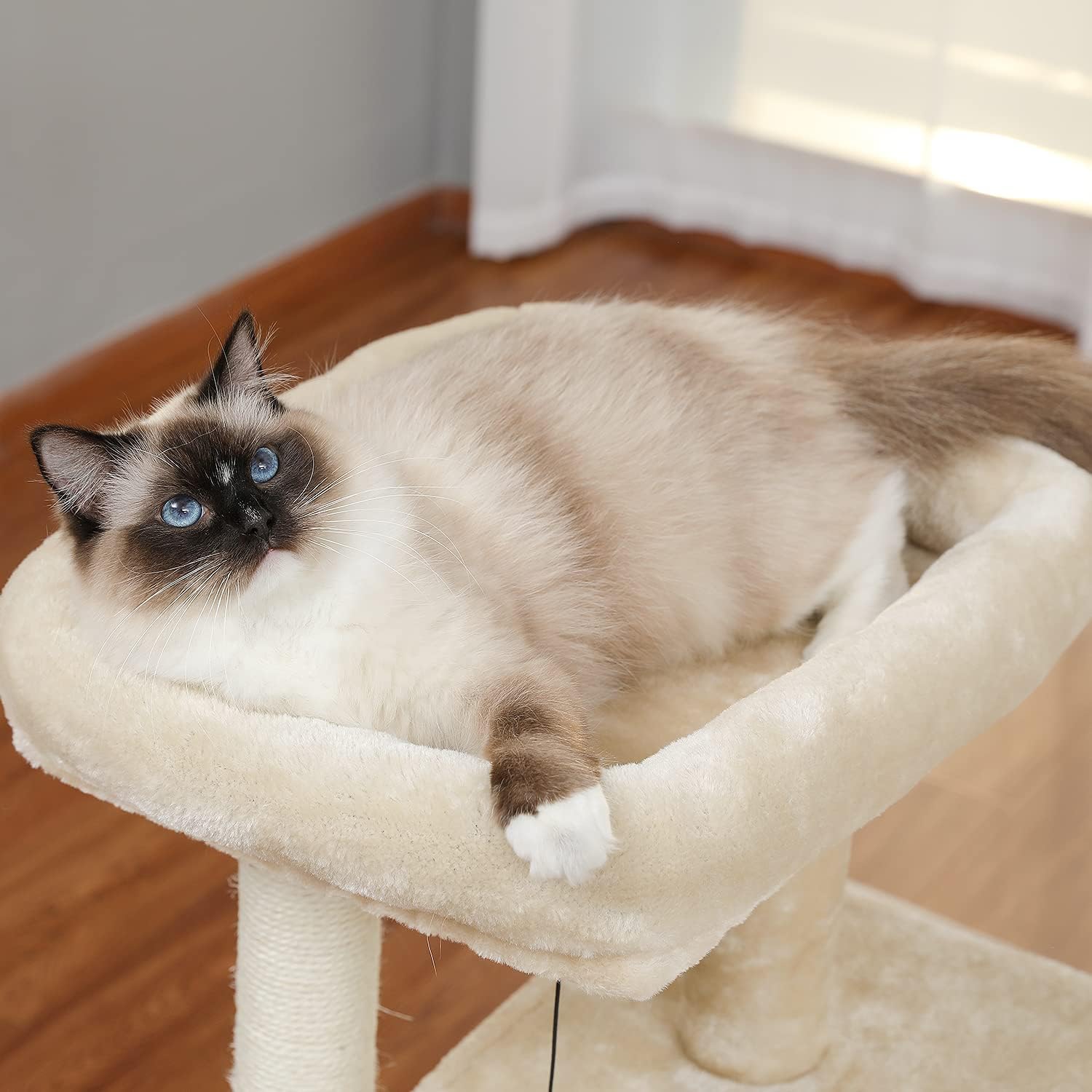 Thumbnail 5 de PETEPELA 90cm Cat Tree with Double Condos – Fully Wrapped Scratching Posts & Replaceable Dangling Balls