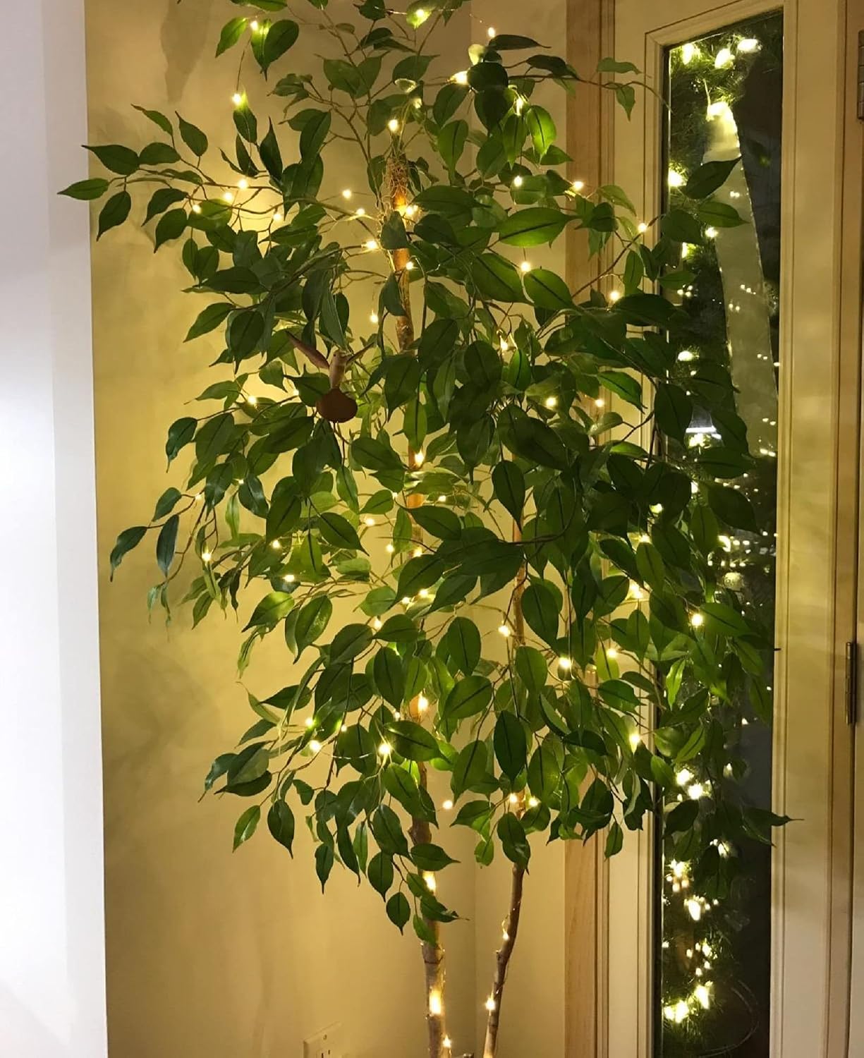 Detalle 2 de Lepro 4300017-WW-US Fairy Lights, 66 ft, 200 Warm White LEDs, IP65