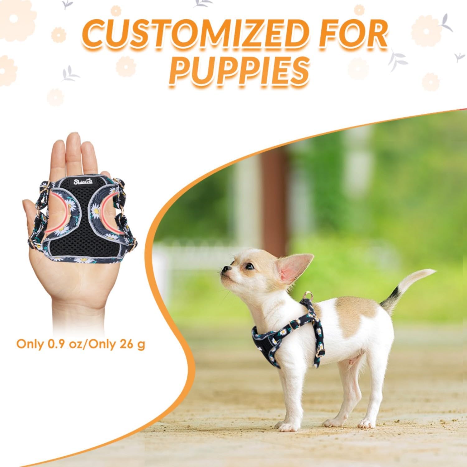 Detalle de Eyein Small Dog Harness and Lead Set (Soft Mesh, Black, Size M)