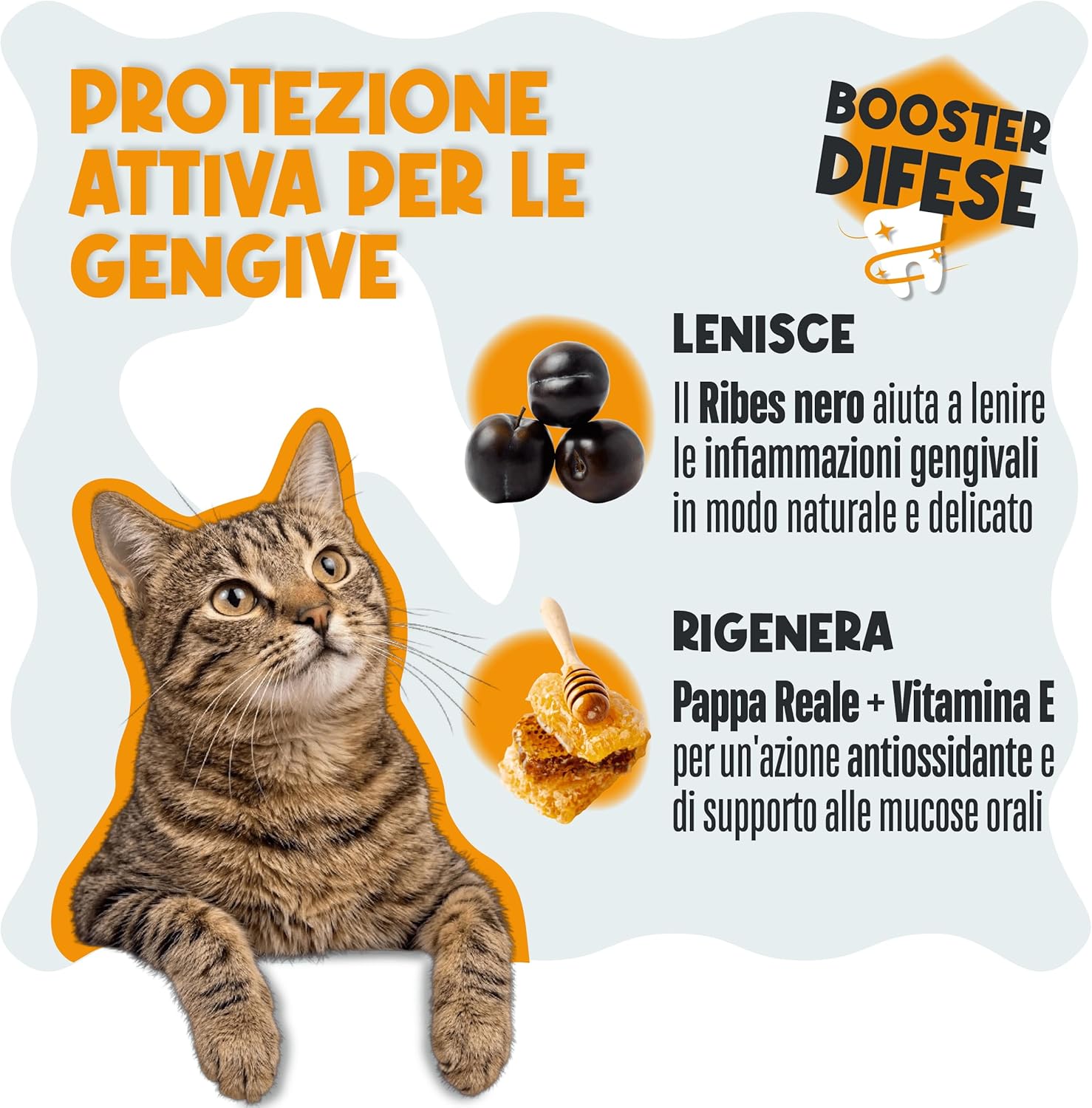Detalle de Pulizia Denti Cane e Gatto, Polvere Dentale Sciogli Tartaro e Placca – Dental Bright, 100 g (50 Dosi)