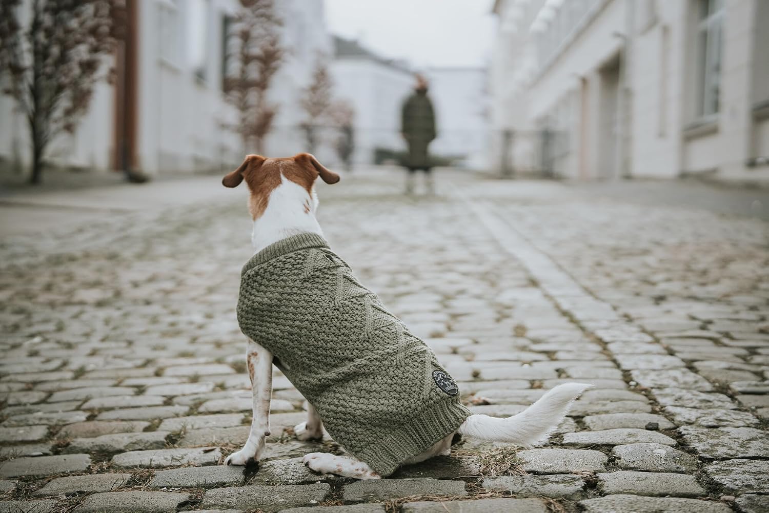 Thumbnail 4 de Hundepullover MALMÖ in Khaki, Größe 30
