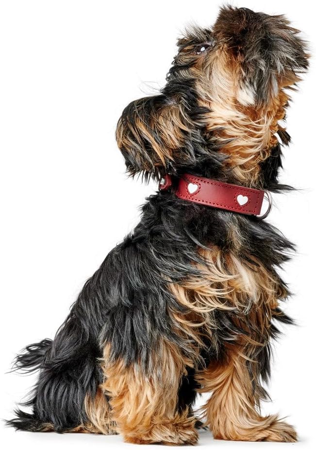 Thumbnail 6 de Hunter Hundehalsband Love – roter/schwarzer Stil, handgefertigtes Rindsleder, Größe 65