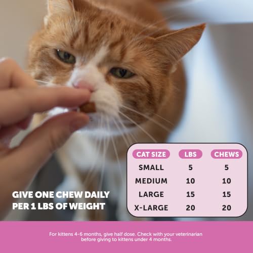Thumbnail 7 de Pet Honesty Cat Multivitamin Crunchy Creamy Chews — Daily Cat Vitamins with Lysine, Prebiotics, Omega 3, 30-Day Supply