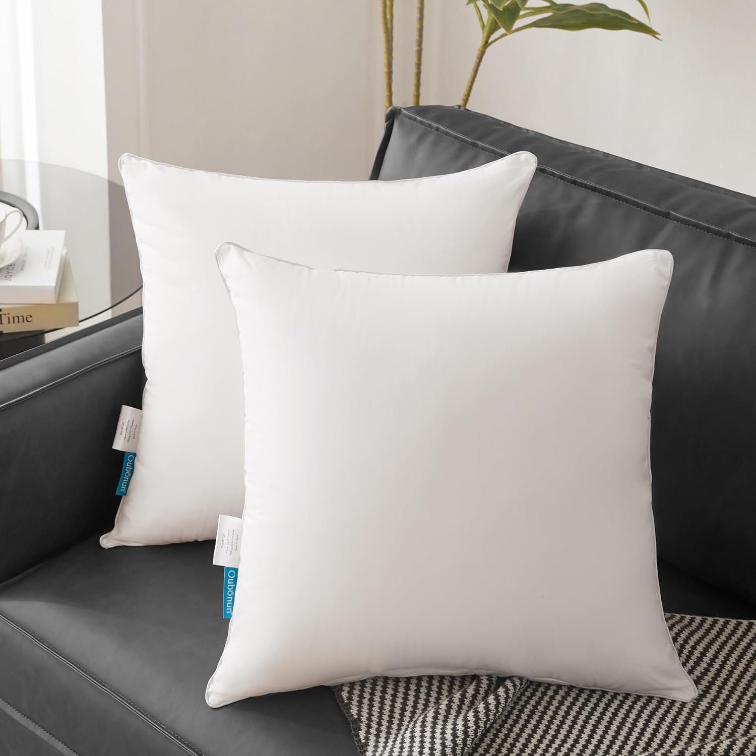 Thumbnail 1 de Oubonun 26x26 Pillow Inserts Set of 2