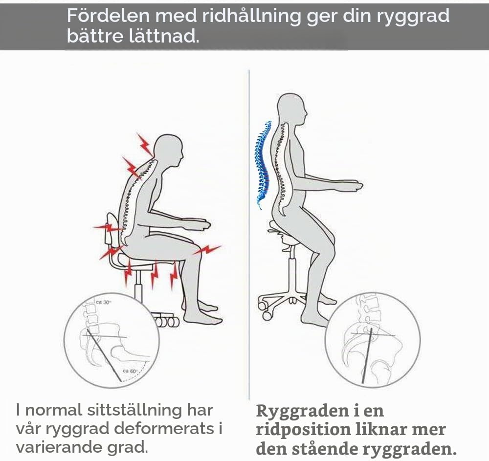 Thumbnail 4 de Mingone 3120013 sadelpall med ryggstöd, höjdjustering och 360° hjul