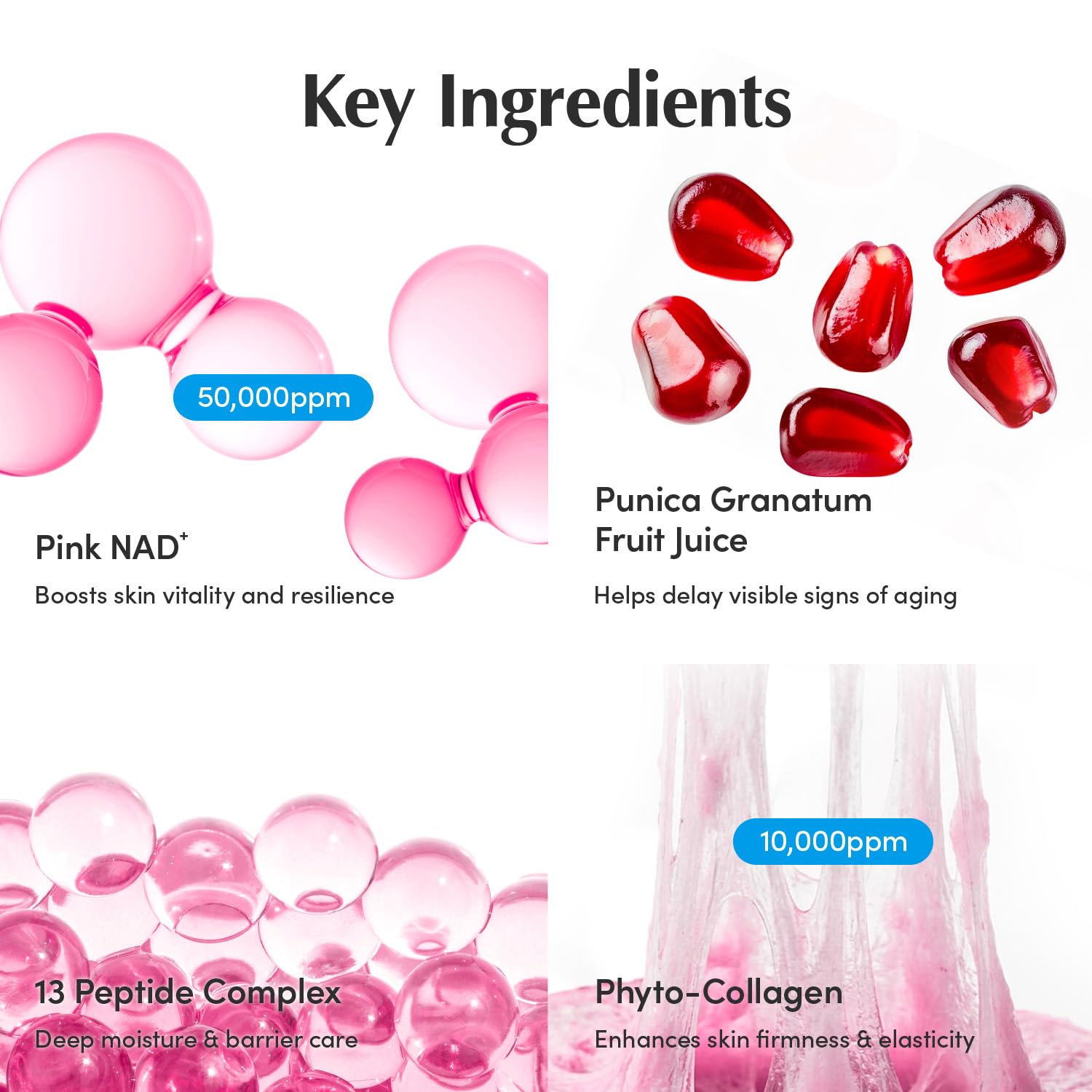 Detalle 2 de EQQUALBERRY NAD+ Peptide Cream 5%