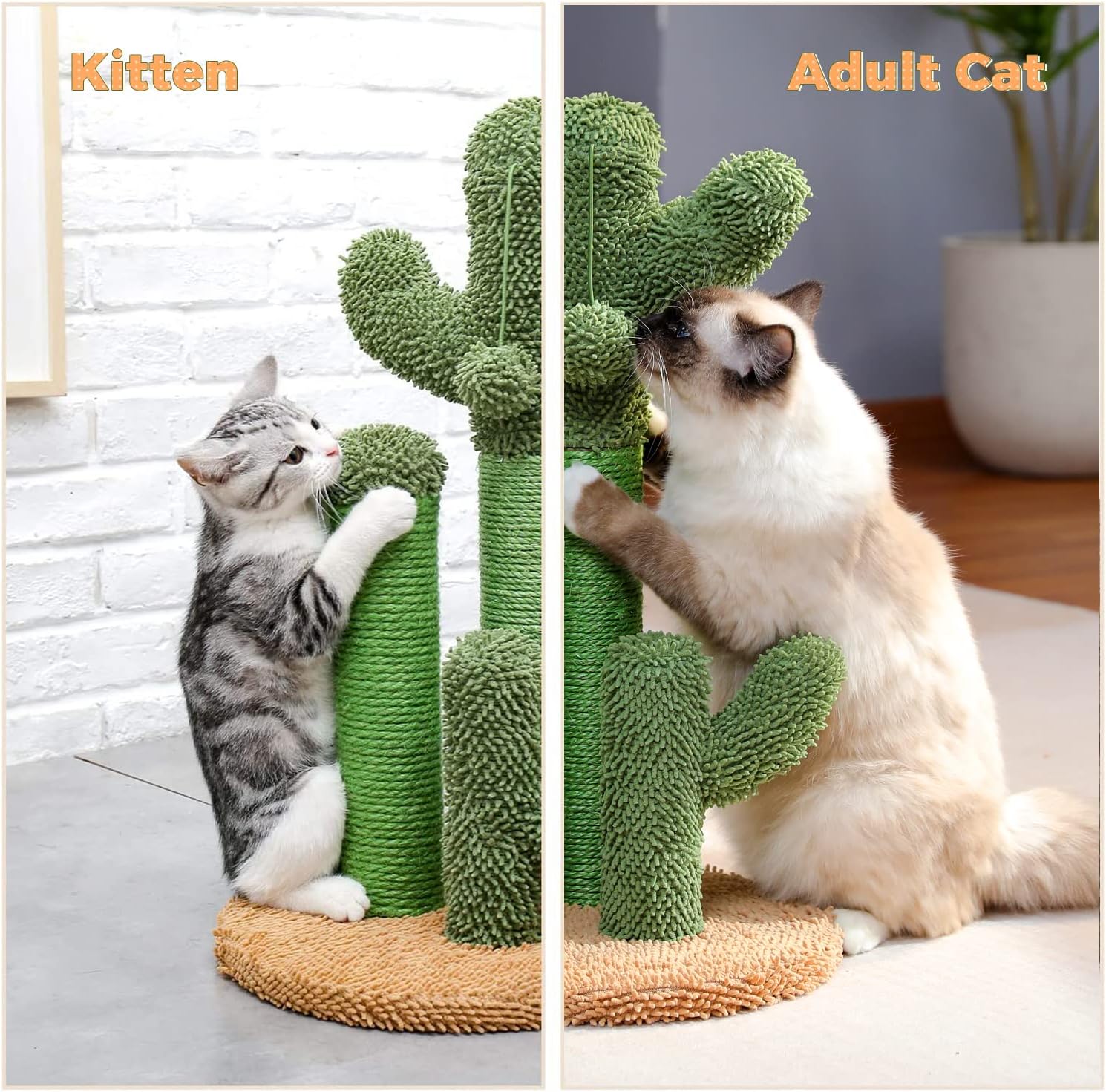Thumbnail 2 de PAWZ Road Arbre à chat griffoir « Cactus » en sisal – ensemble 3 poteaux (taille L 68,5 cm), marron