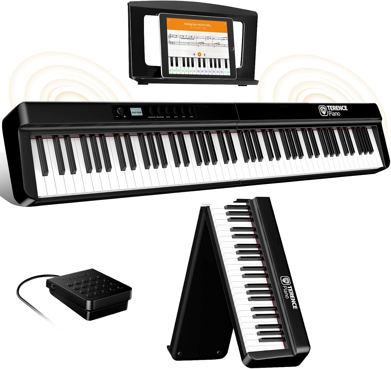 Detalle de TERENCE 88 key weighted digital piano