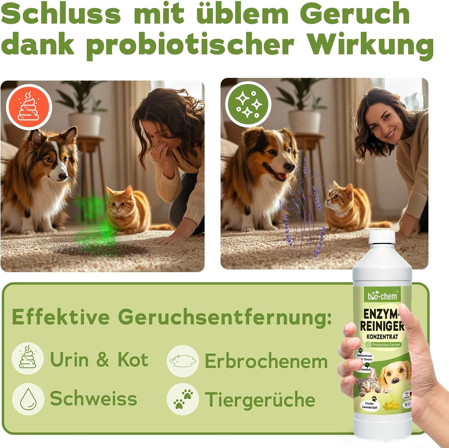 Thumbnail 5 de bio-chem Enzymreiniger Konzentrat 1L gegen Tiergeruch – Mikrobiologischer Geruchsneutralisierer mit Lavendelduft