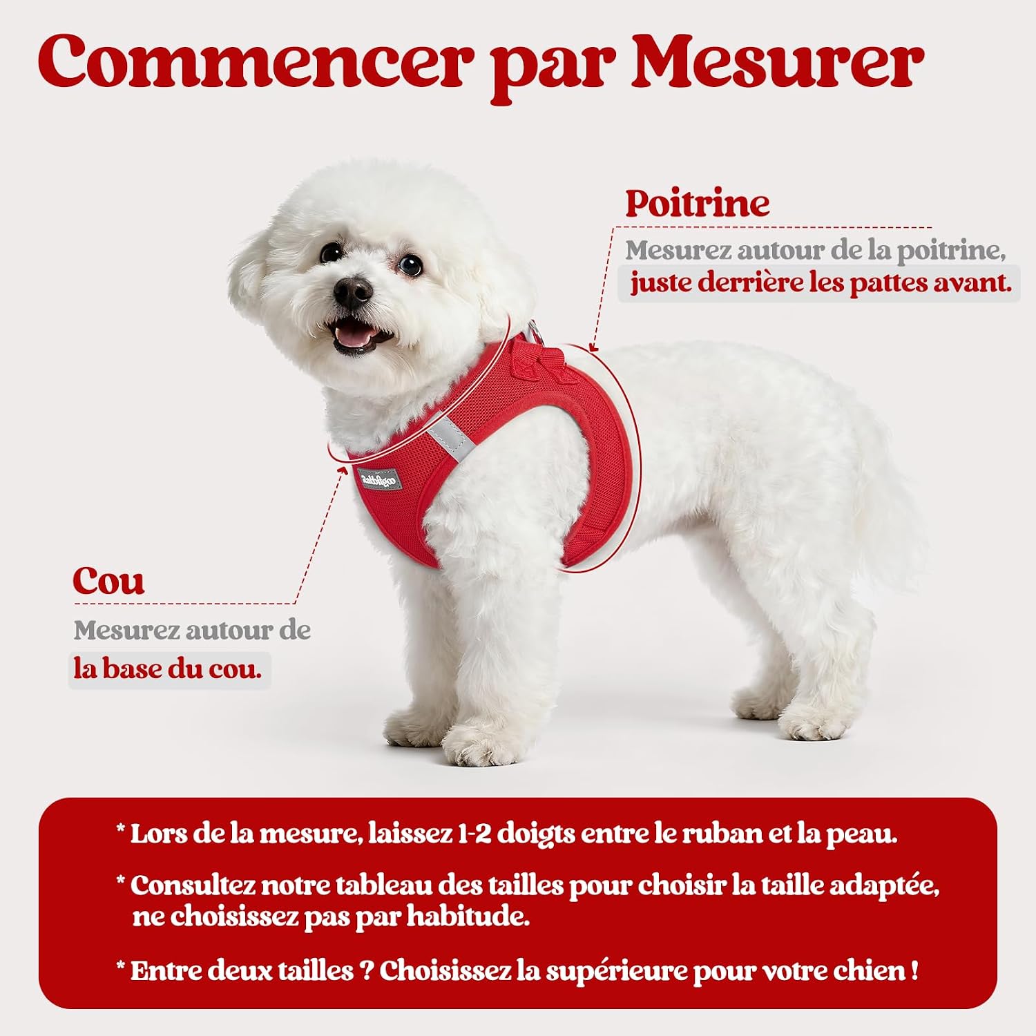 Thumbnail 1 de Harnais Chien Petite Taille avec Laisse Réfléchissant de rabbitgoo – Rouge S