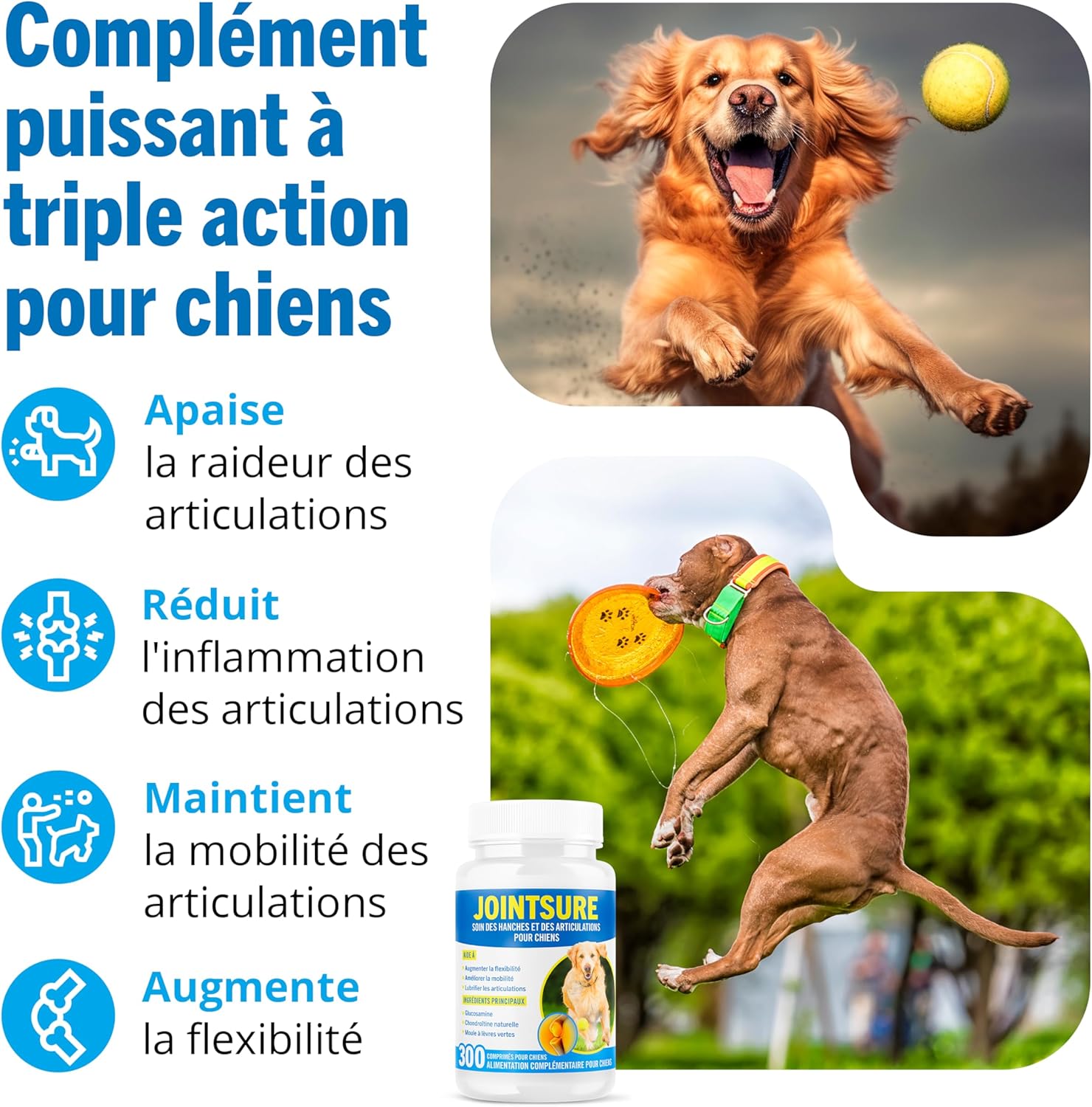 Detalle 2 de JOINTSURE Senior 300 comprimés pour mobilité canine