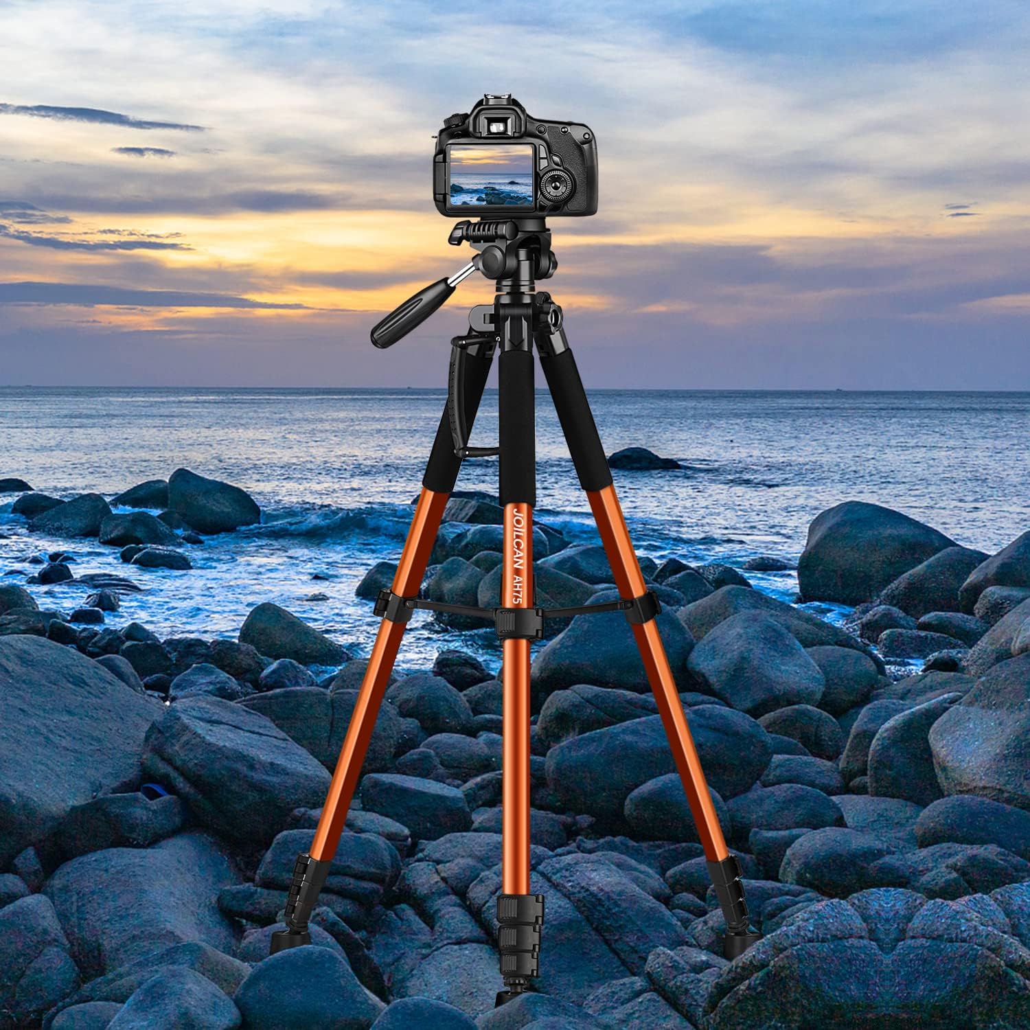 Thumbnail 6 de JOILCAN 74" Camera Tripod 188cm, 14lb load capacity