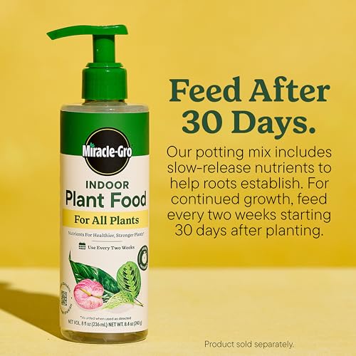 Thumbnail 8 de Miracle-Gro Indoor Plant Grow, Feed & Protect Bundle