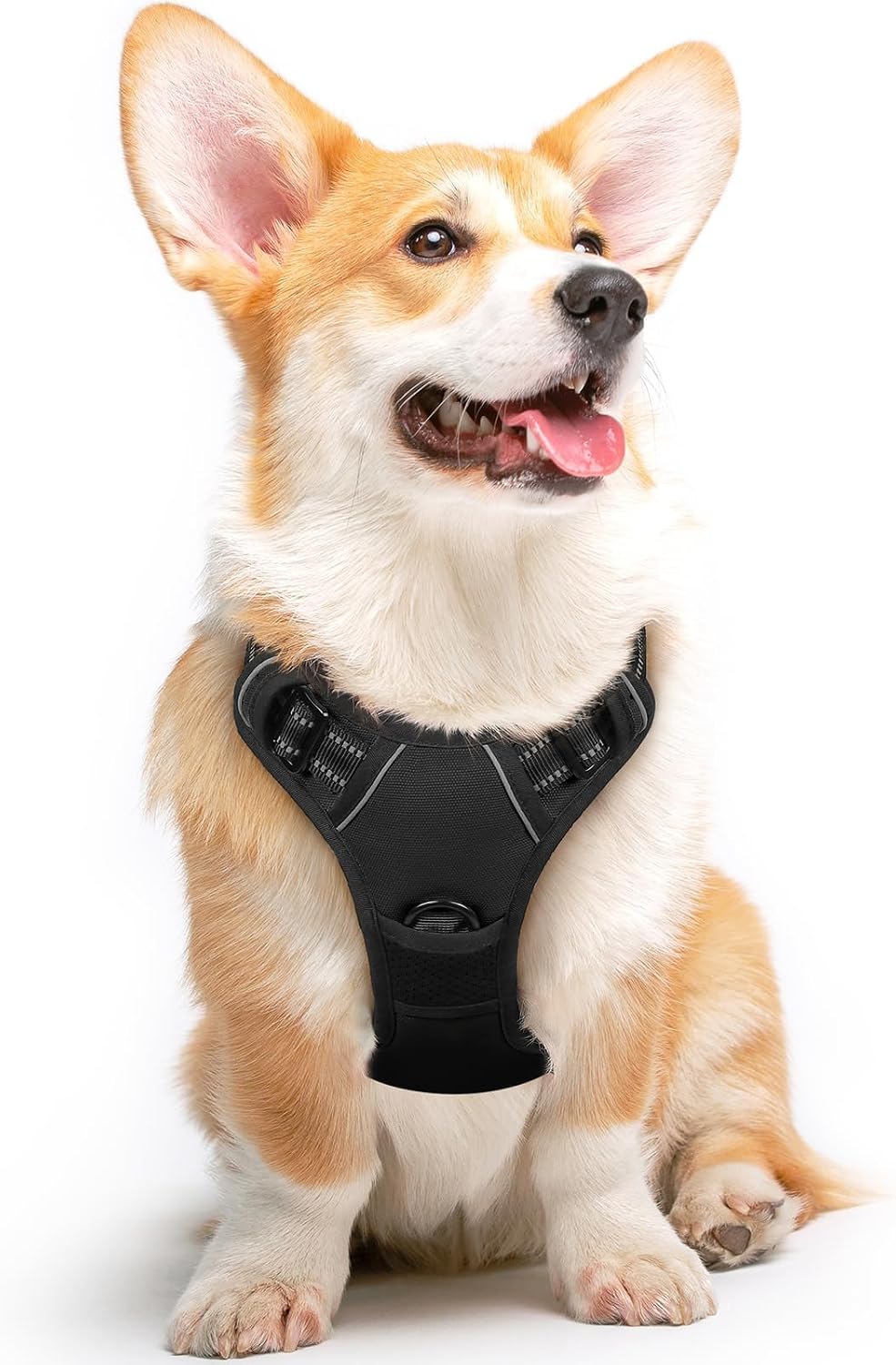 Detalle de Eagloo Dog Harness Medium – No Pull Front & Back Clip Adjustable Vest