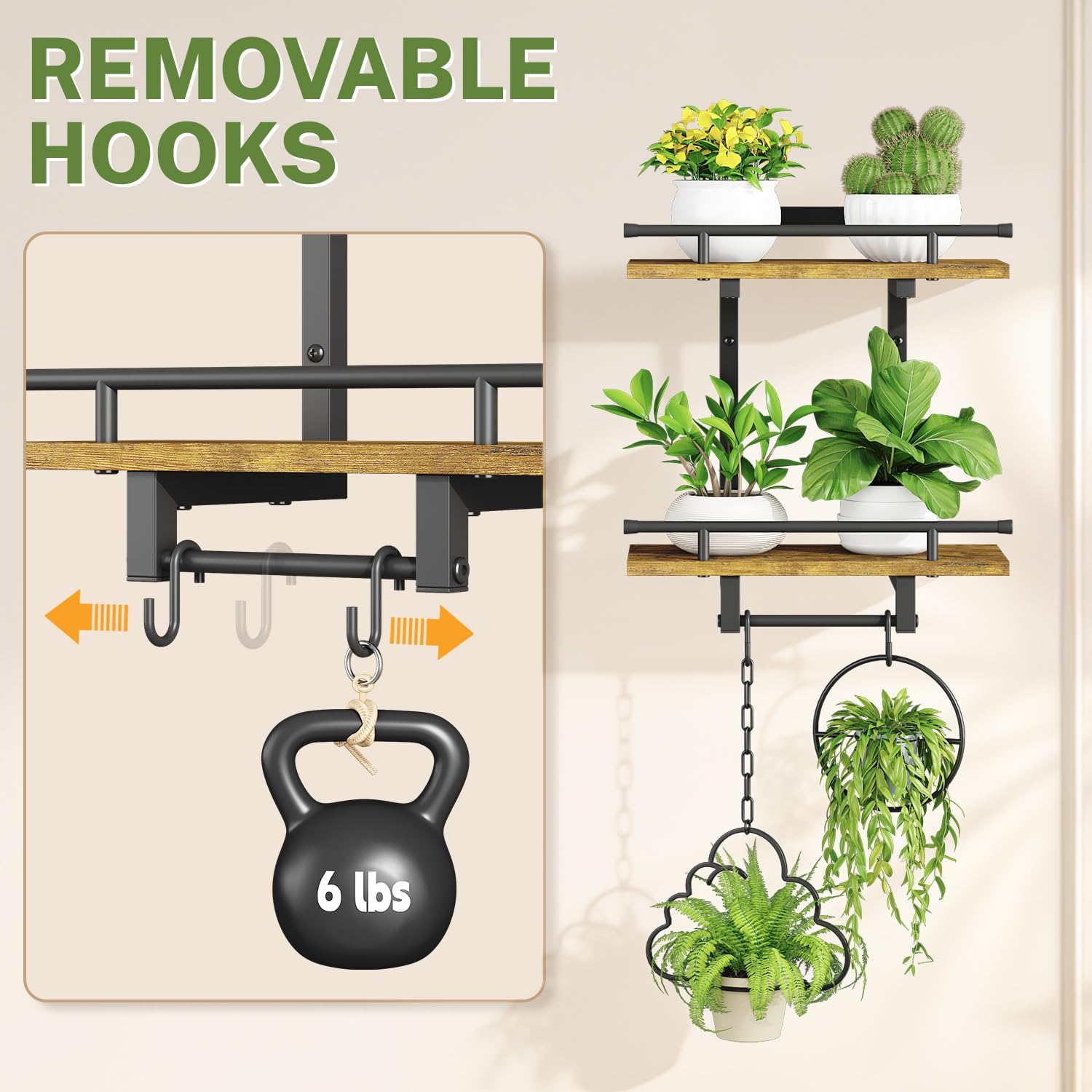 Detalle 1 de iDavosic.ly Wall Plant Holder