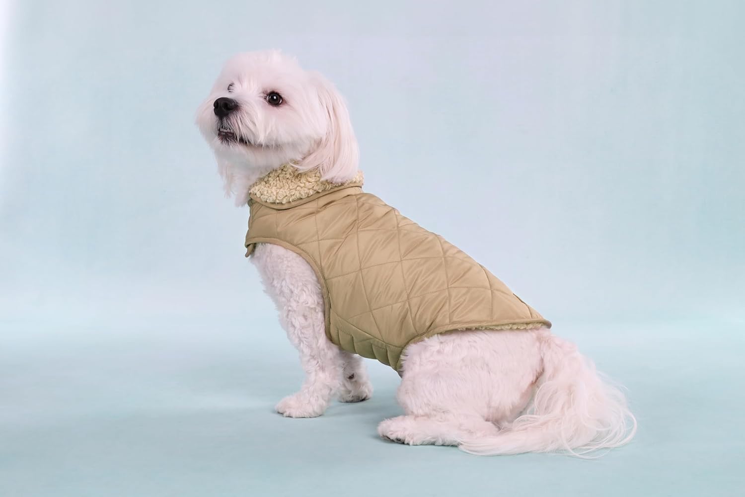 Thumbnail 6 de Flamingo Hundemantel Bonnie in Beige – wasserabweisend & waschbar bei 30 °C