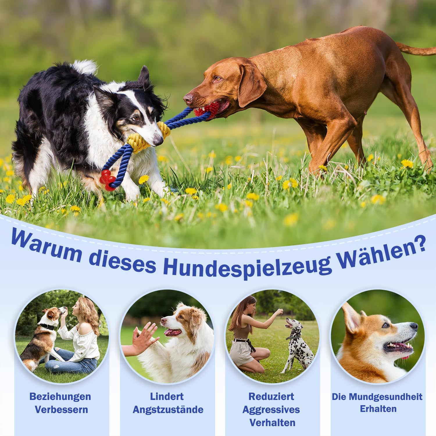 Detalle de Aitmexcn Hundespielzeug Seil (43 cm) aus Baumwolle – Zerrspielzeug für kleine bis mittelgroße Hunde