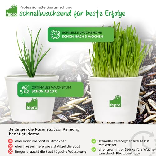 Detalle 2 de Fepro Rasensamen 10 kg – Sport und Spiel, schnell keimend, tiefgrün, ideal für Neuansaat und Nachsaat