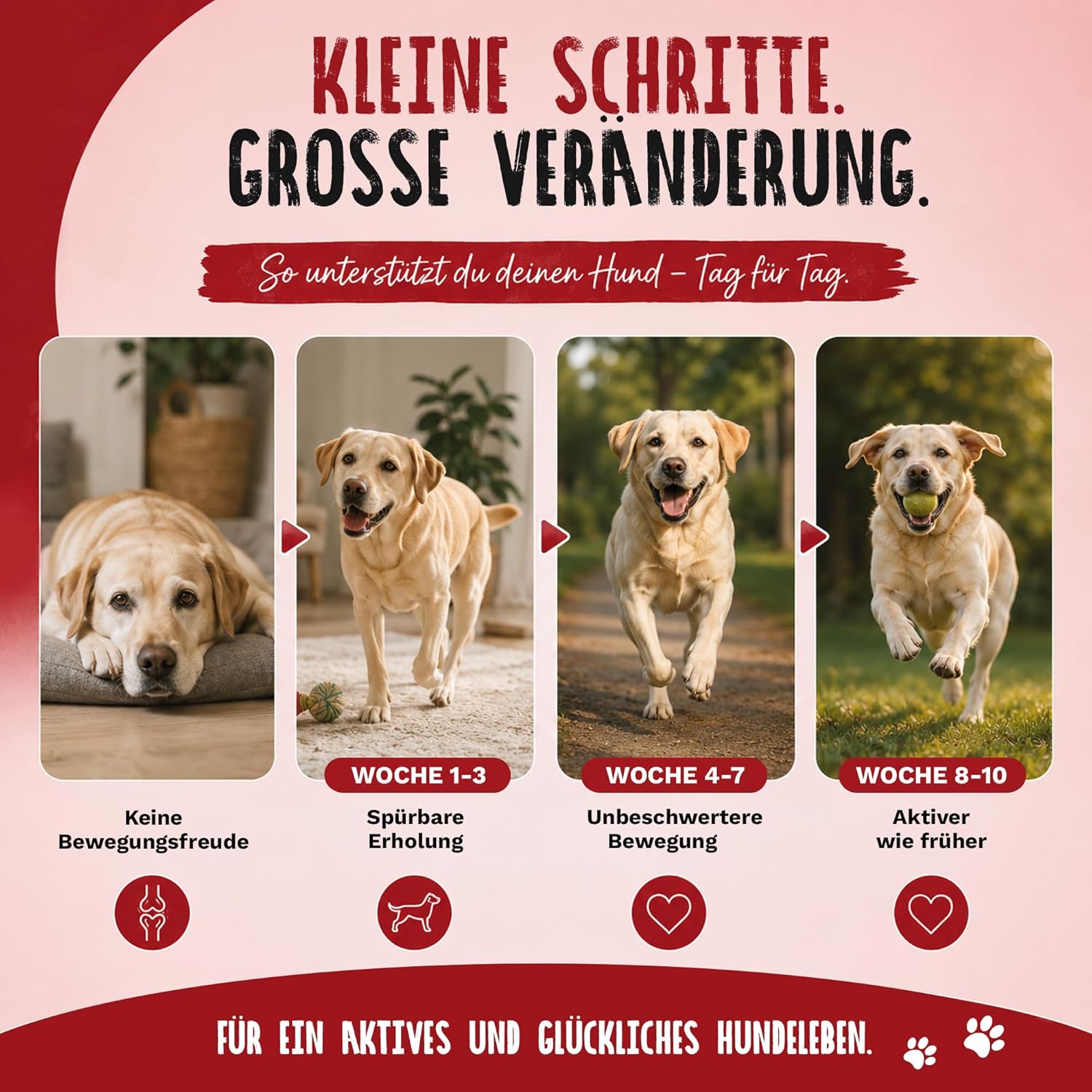 Detalle de TIERLIEBHABER Gelenk Drops 1 Packung