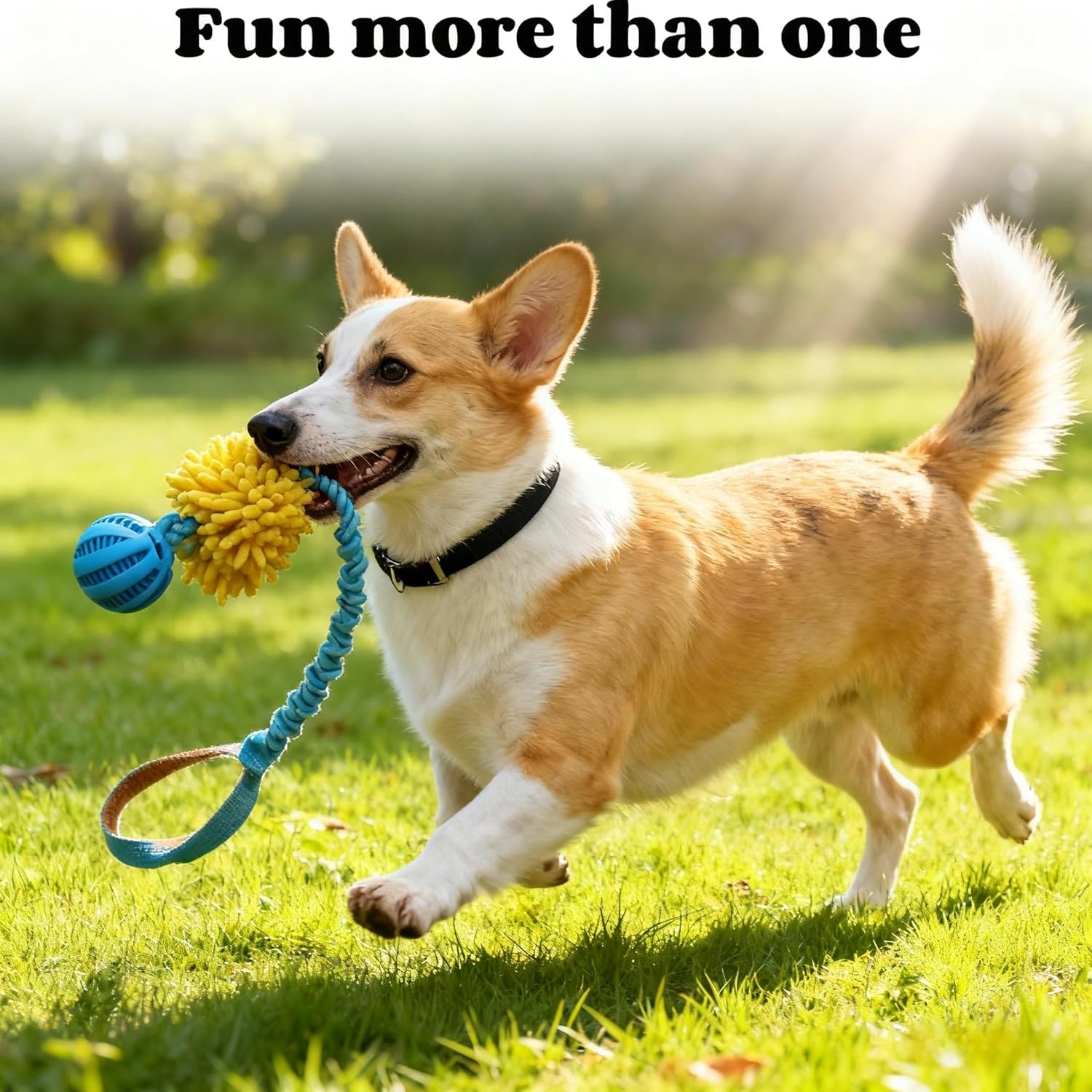 Thumbnail 4 de Whoolon Dog Toy Set for Small–Medium Dogs 🐶