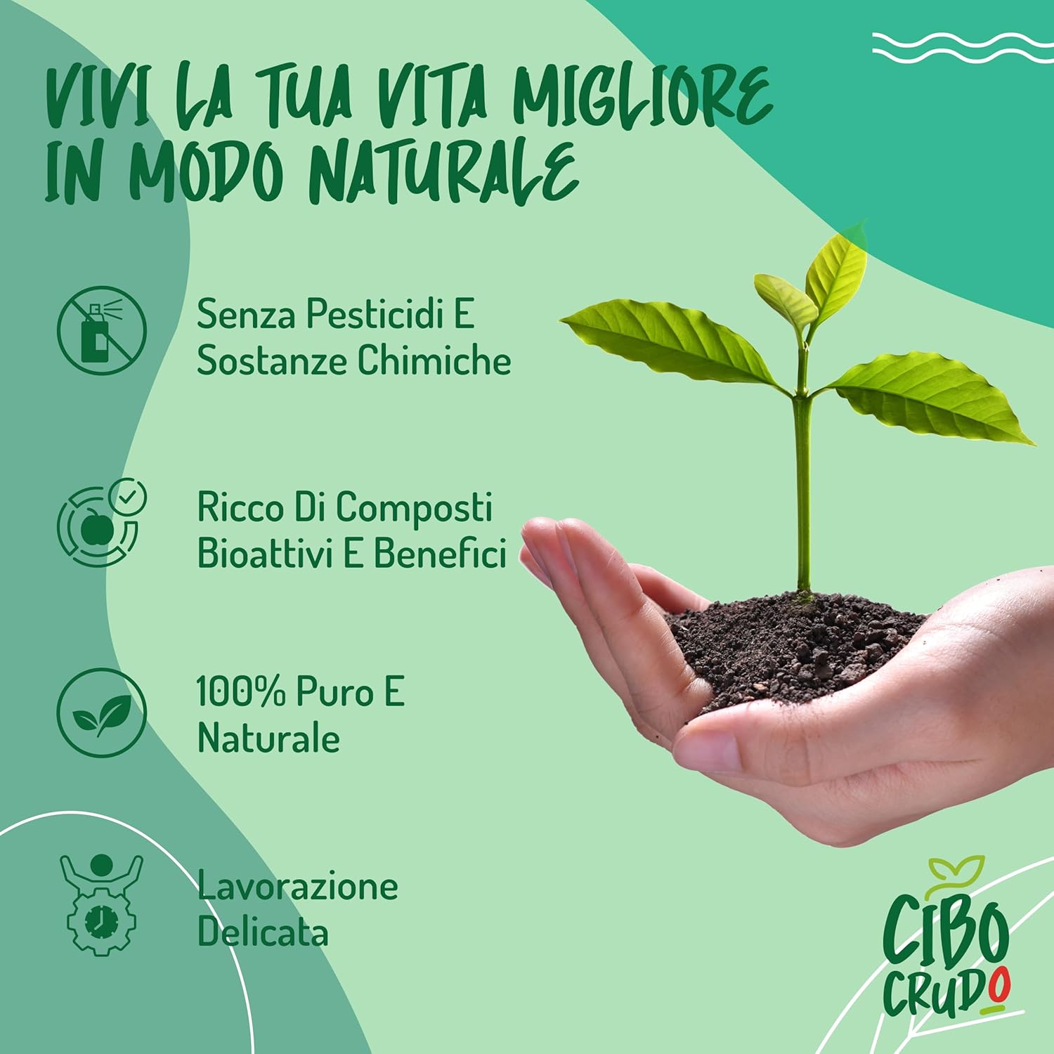 Thumbnail 6 de Reishi Ganoderma Lucidum Puro e Bio in Polvere 300g (Luce/temperature inferiori a 42°C) – reishi biologico essiccato al sole e macinato