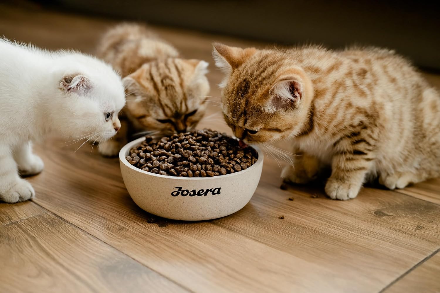 Thumbnail 1 de JOSERA SensiCat (2 kg) – Trockenfutter für empfindliche Katzen