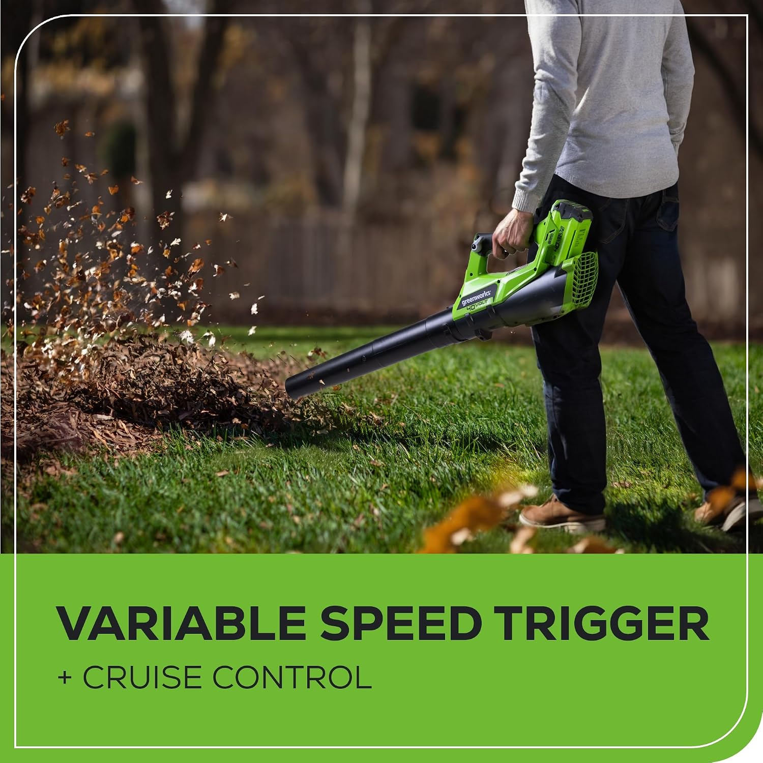 Detalle 1 de Greenworks String Trimmer and Blower Combo, 2.0 Ah Battery