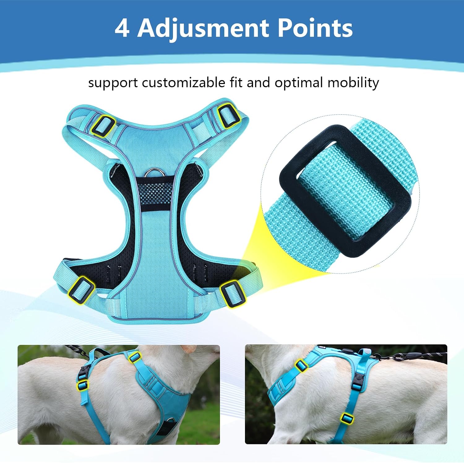 Detalle 2 de Dog Harness, Size L