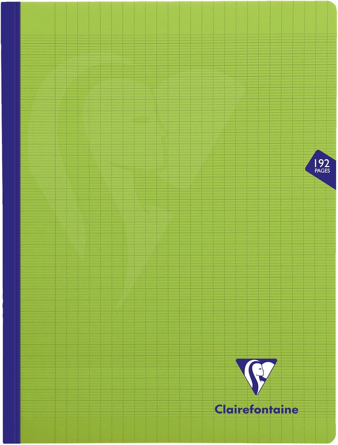 Detalle de Clairefontaine Cahier Vert 24x32 192p Grands Carreaux – Haute qualité et grand format