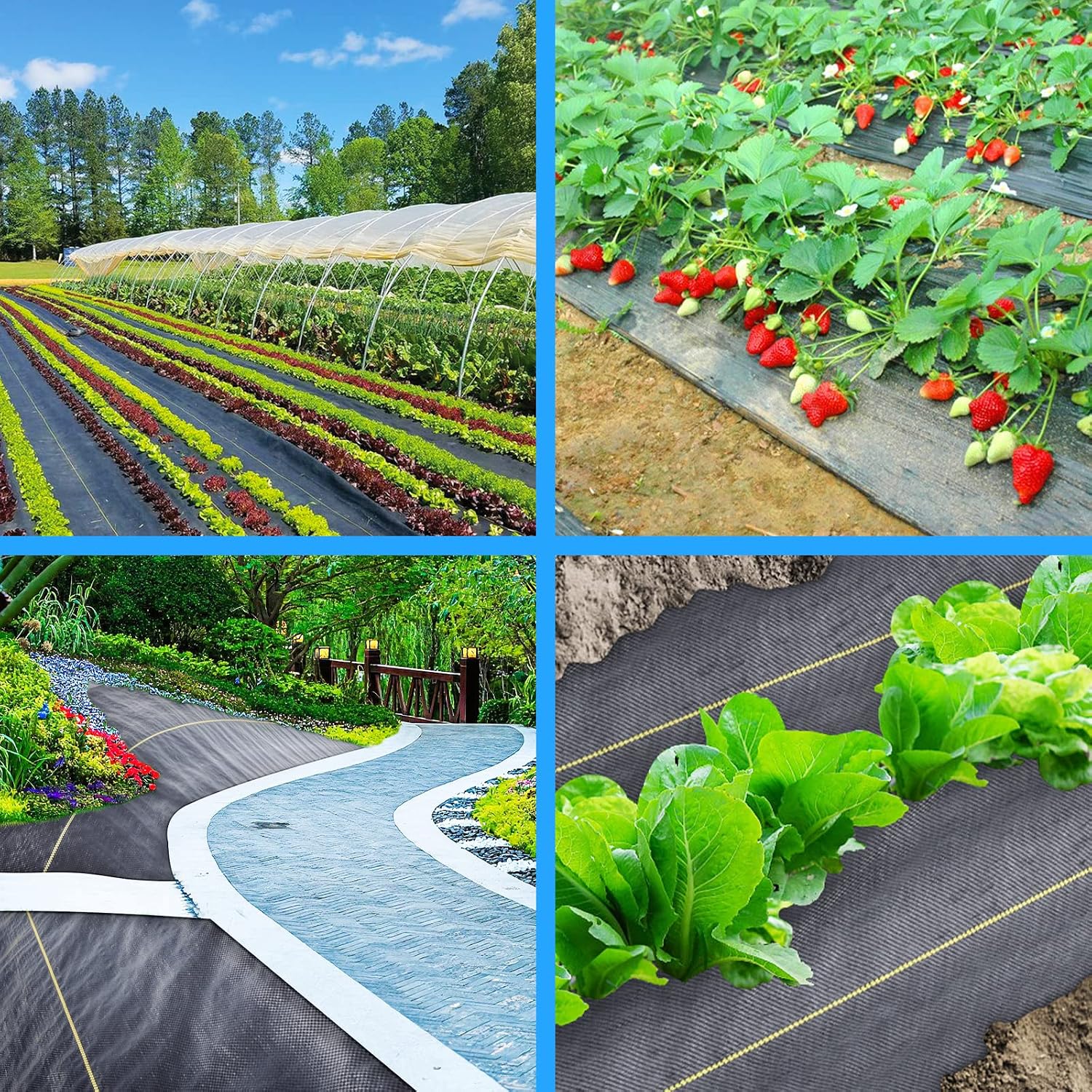Detalle 1 de Sunocity Weed Barrier Fabric, 6 ft x 100 ft